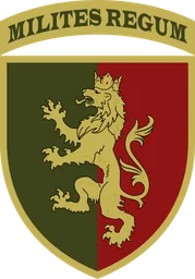 24 ОМБр